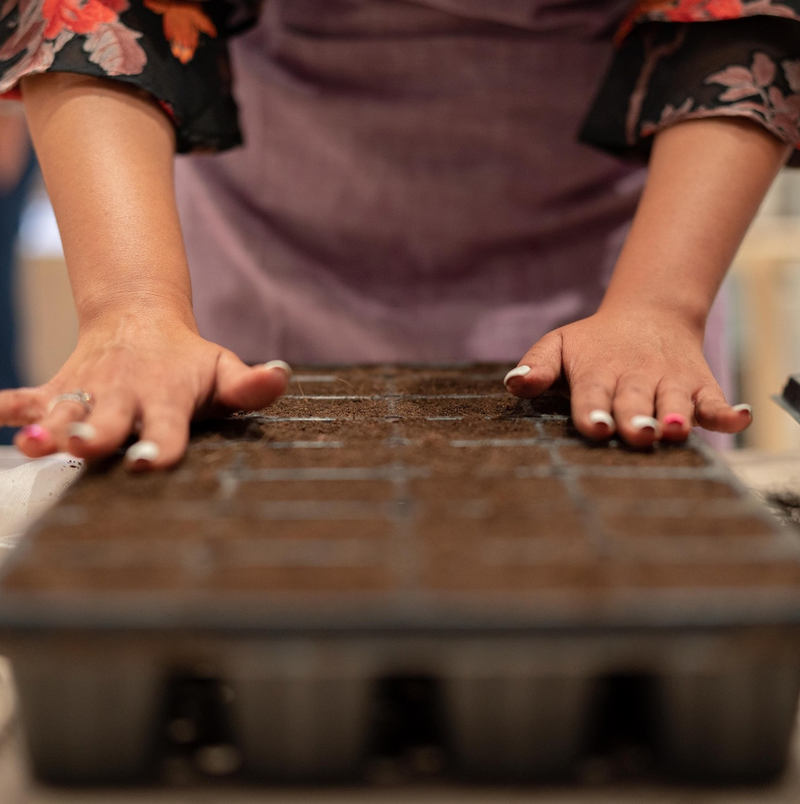 Why More Families in Dubai Want to Grow Their Own Food