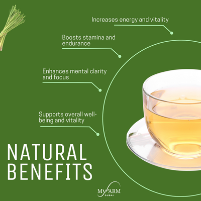 Natural Energy Pack - Herbal Blend for Vitality