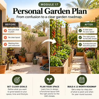 Create Your Personal Garden Plan