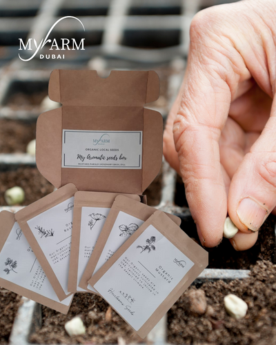 Heirloom Aromatic Seed Pack