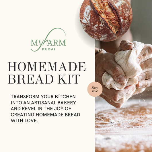 All-in-One Bread Making Kit with Homemade Sourdough