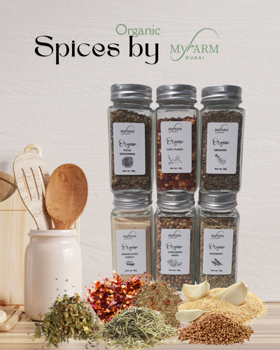 Gourmet Organic Spice Collection - Italian & Spicy Flavors ( 6jars )