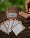 Heirloom garden Seed Pack