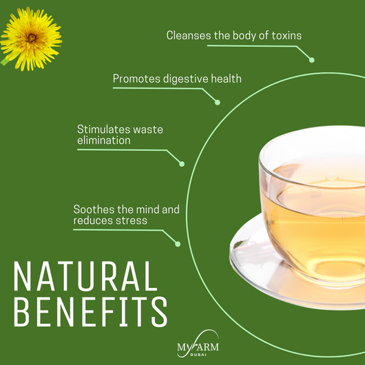 Detox Pack - Natural Herbs for Cleansing the Body and Mind