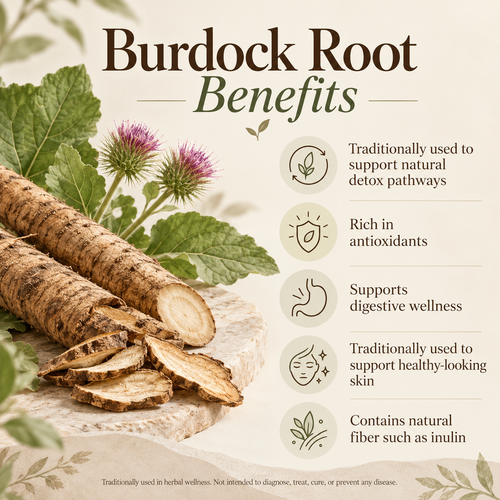 Organic Burdock Root