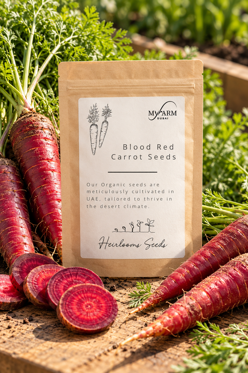 Seeds Organic Blood Red Carrot Heirloom