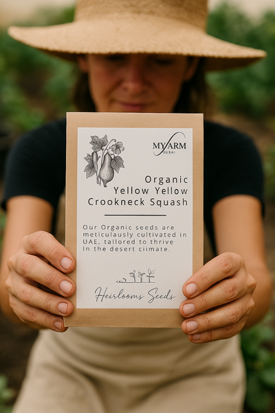 Organic Heirloom Yellow Crookneck Squash Seeds