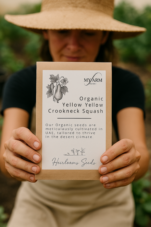 Organic Heirloom Yellow Crookneck Squash Seeds