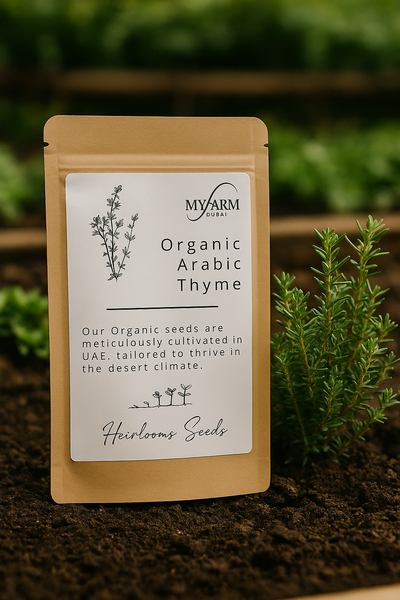 Seeds Organic Arabic Thyme Heirloom