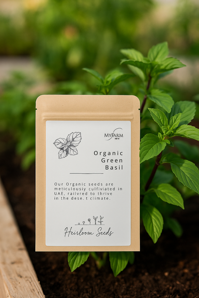 Seeds Organic Green Basil Heirloom