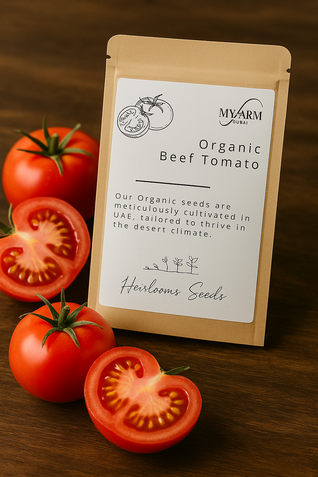 Organic Beef Tomato Seeds Heirloom