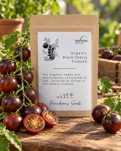 Seeds Organic Black Cherry Tomato Heirloom