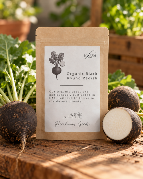 Organic Heirloom Black Round Radish Seeds