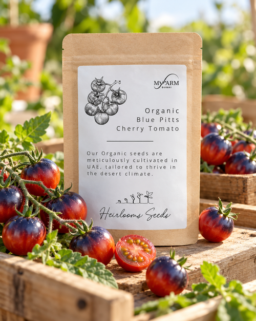 Seeds Organic Blue Pitts Cherry Tomato Heirloom