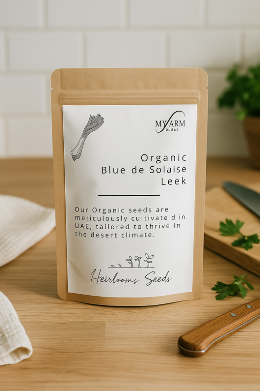 Organic Heirloom Blue de Solaise Leek Seeds