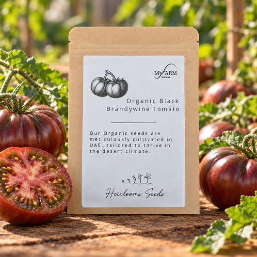 Organic Heirloom Black Brandywine Tomato Seeds