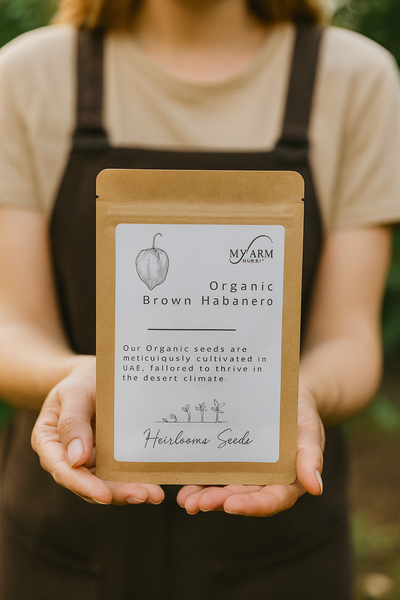 Organic Heirloom Chocolate Brown Habanero Seeds