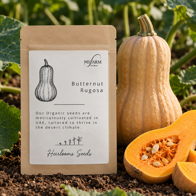 Seeds Organic Butternut Rugosa