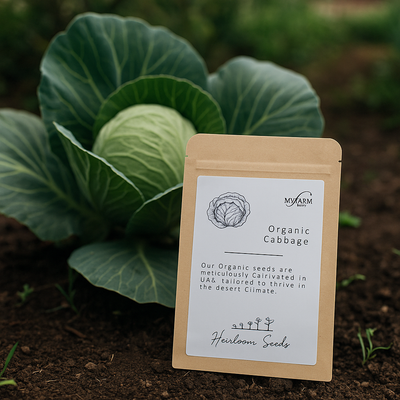 Seeds Organic Cabbage  Heirloom