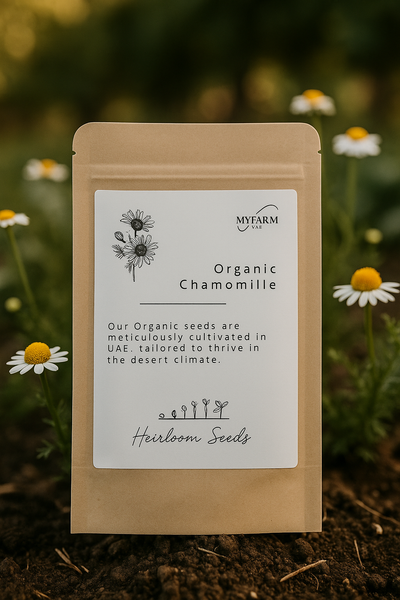 Seeds Organic Chamomile  Heirloom