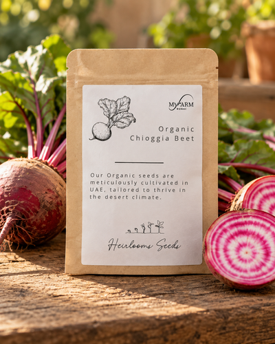 Organic Heirloom Chioggia Beet Seeds