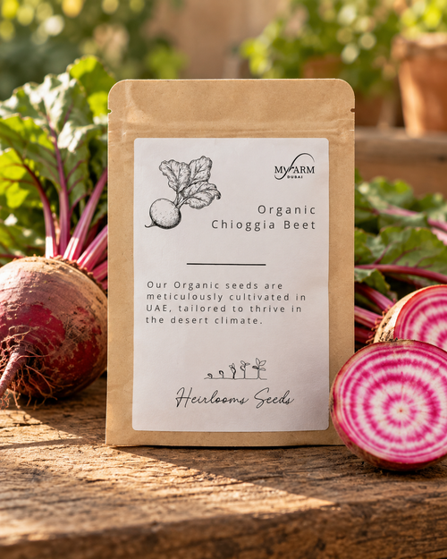 Organic Heirloom Chioggia Beet Seeds