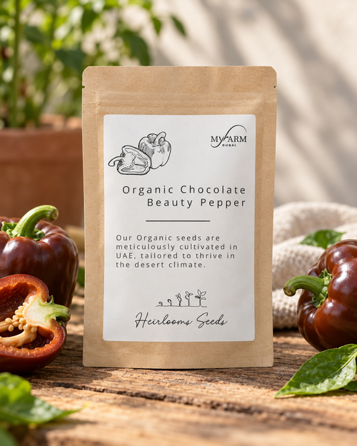 Organic Heirloom Chocolate Beauty Pepper Seeds