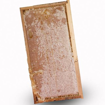 Pure Honey Raw Honeycomb on Wooden Frame Comb
