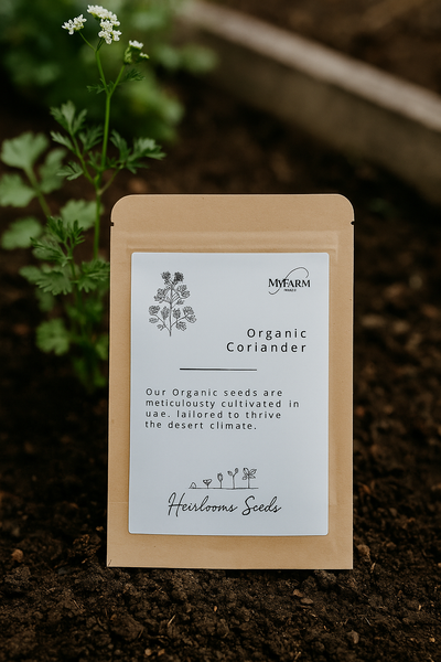 Seeds Organic Coriander  Heirloom