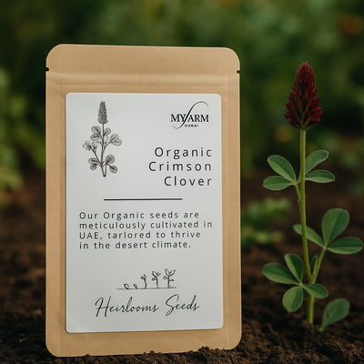 Seeds Organic Crimson Clover Heirloom