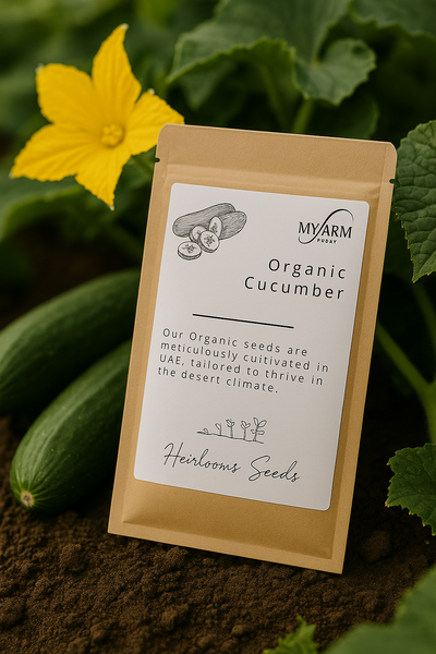 Organic Cucumber Seeds Heirloom