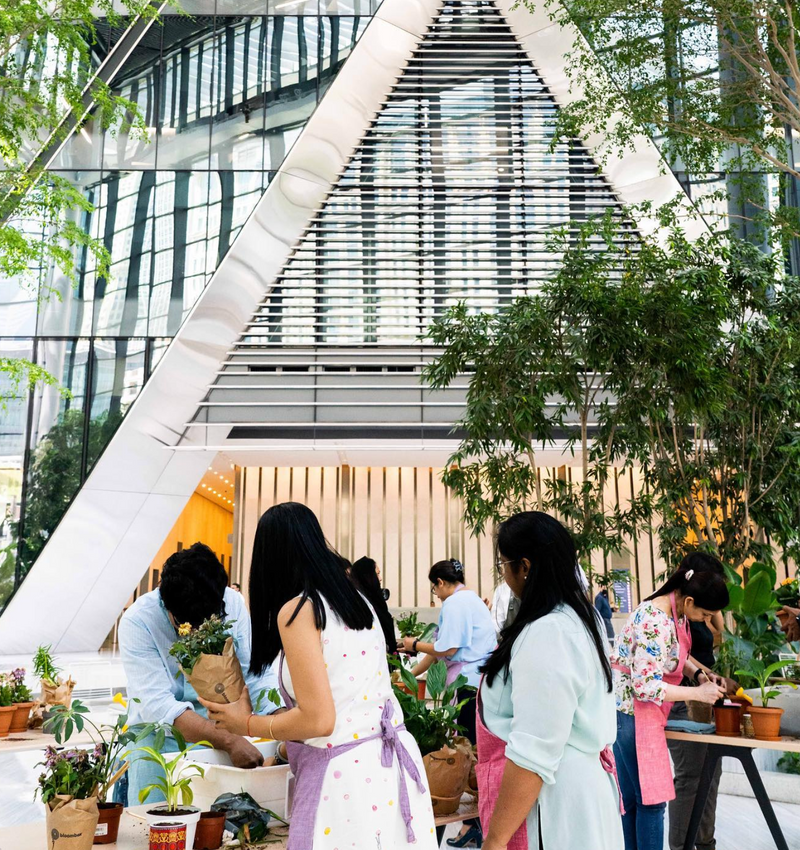 Workshops MyFarmDubai