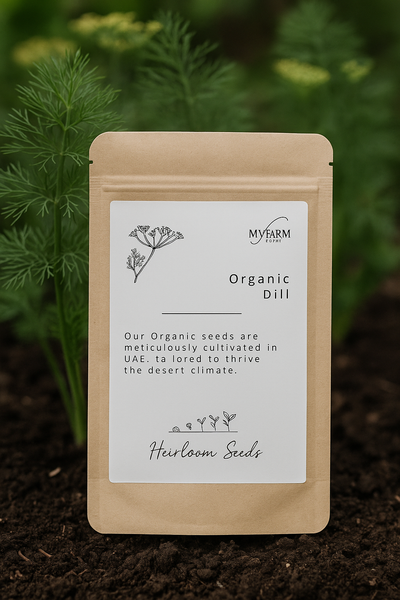 Seeds Organic Dill Heirloom