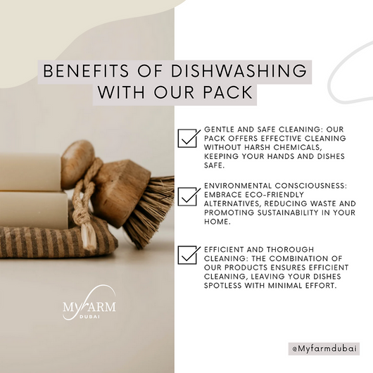 Cleanse Consciously: The Ultimate Dishwashing Kit for a Healthier Home