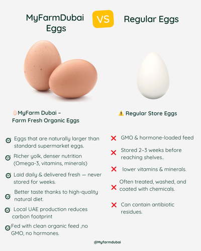 Farm Fresh Large Eggs Organic