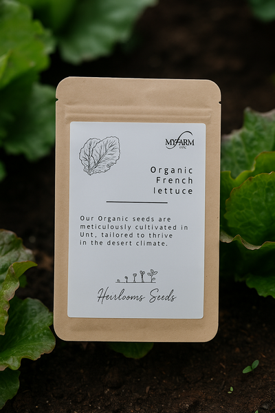 Seeds Organic French lettuce  Heirloom