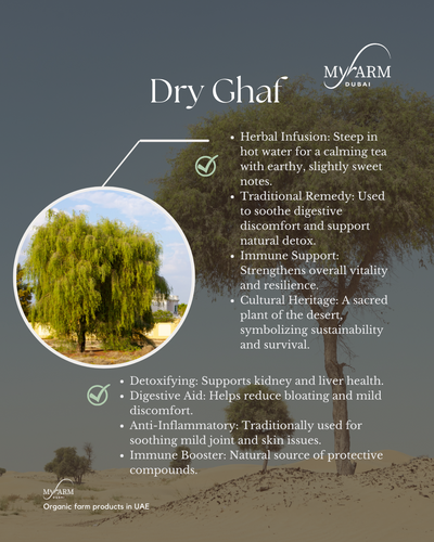 Organic Dried Ghaf Leaves