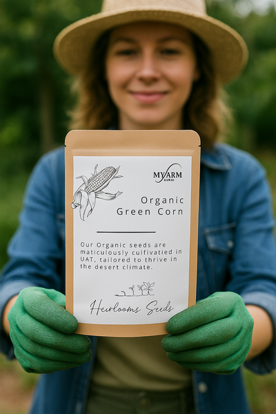 Organic Heirloom Green Dent Corn Seeds