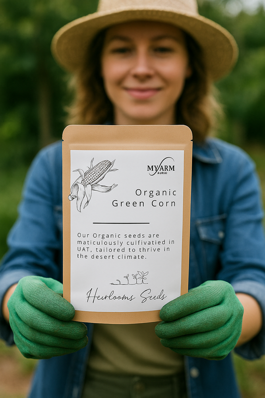 Organic Heirloom Green Dent Corn Seeds