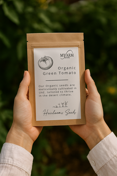 Organic Heirloom Green Tomato Seeds