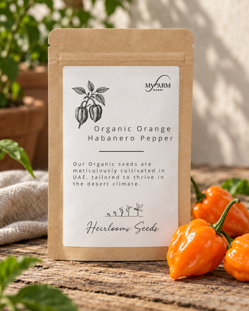 Organic Heirloom Orange Habanero Pepper Seeds