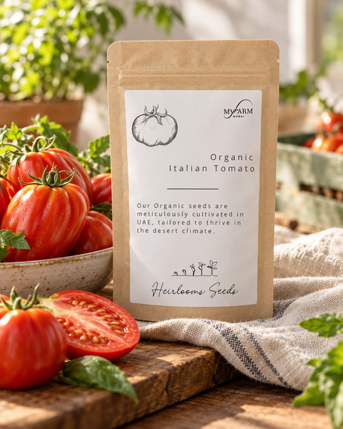Seeds Organic Italian Tomato Heirloom
