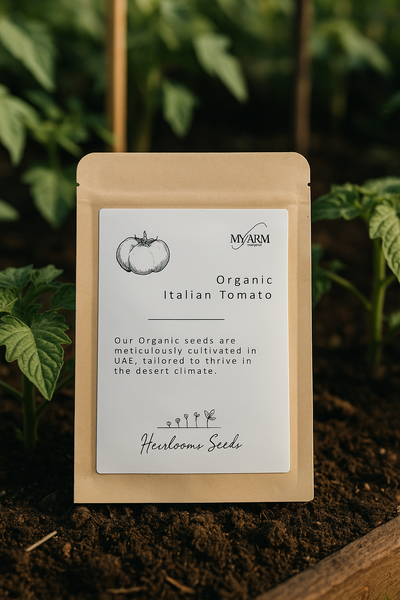 Seeds Organic Italian Tomato Heirloom