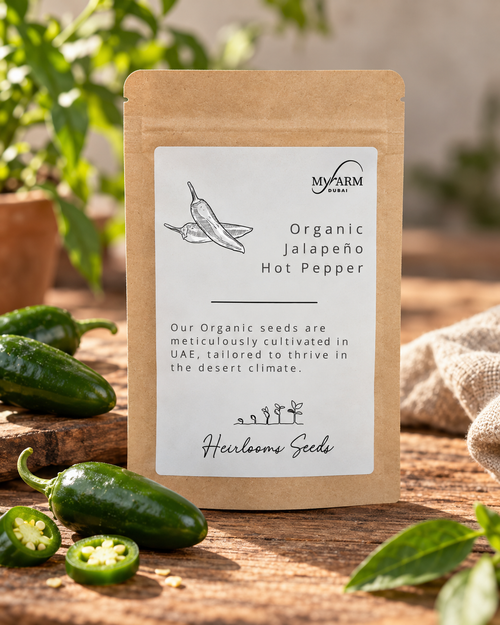 Organic Heirloom Jalapeño Hot Pepper Seeds