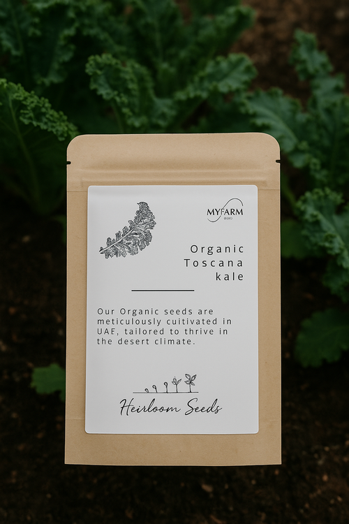 بذور كرنب توسكانا العضوي الأصيل