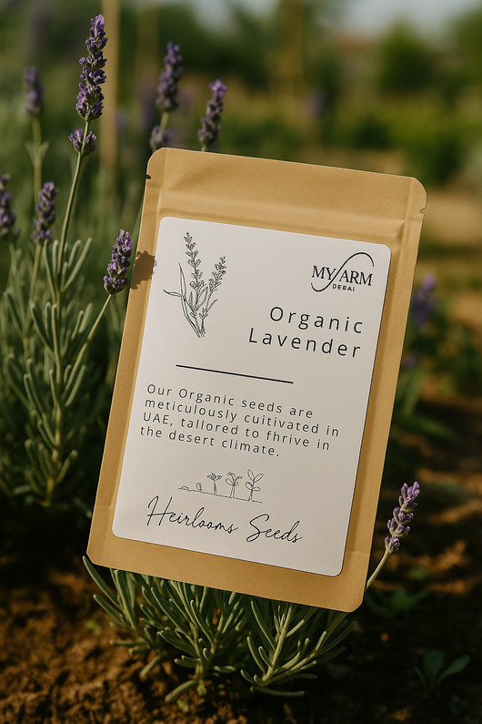 Seeds Lavender Heirloom