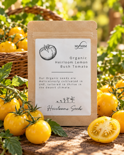 Organic Heirloom Lemon Bush Tomato Seeds