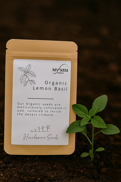 Organic Lemon Basil Seeds Heirloom