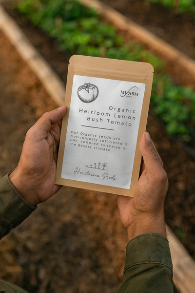 بذور طماطم الليمون العضوية التراثية