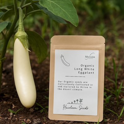 Seeds Organic Long White Eggplant
